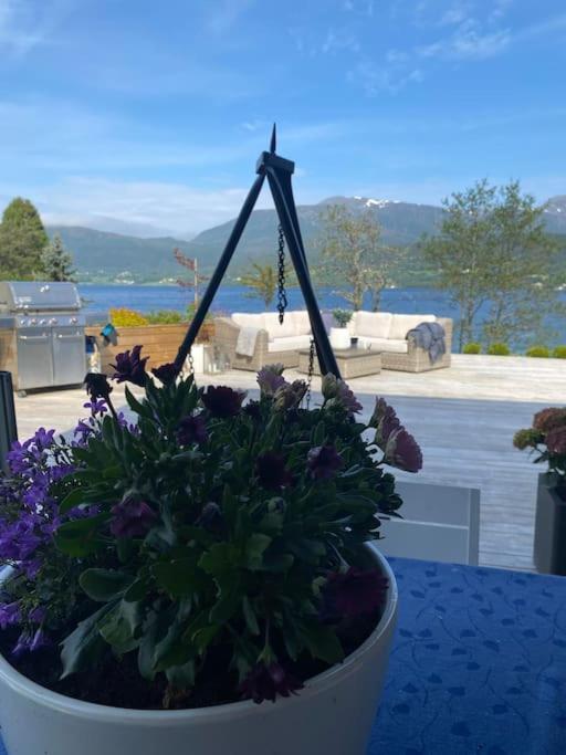 Fantastisk I Tennfjord, Ved Alesund. Tennfjord